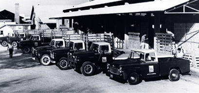 Hito 1929 Grupo Lamosa