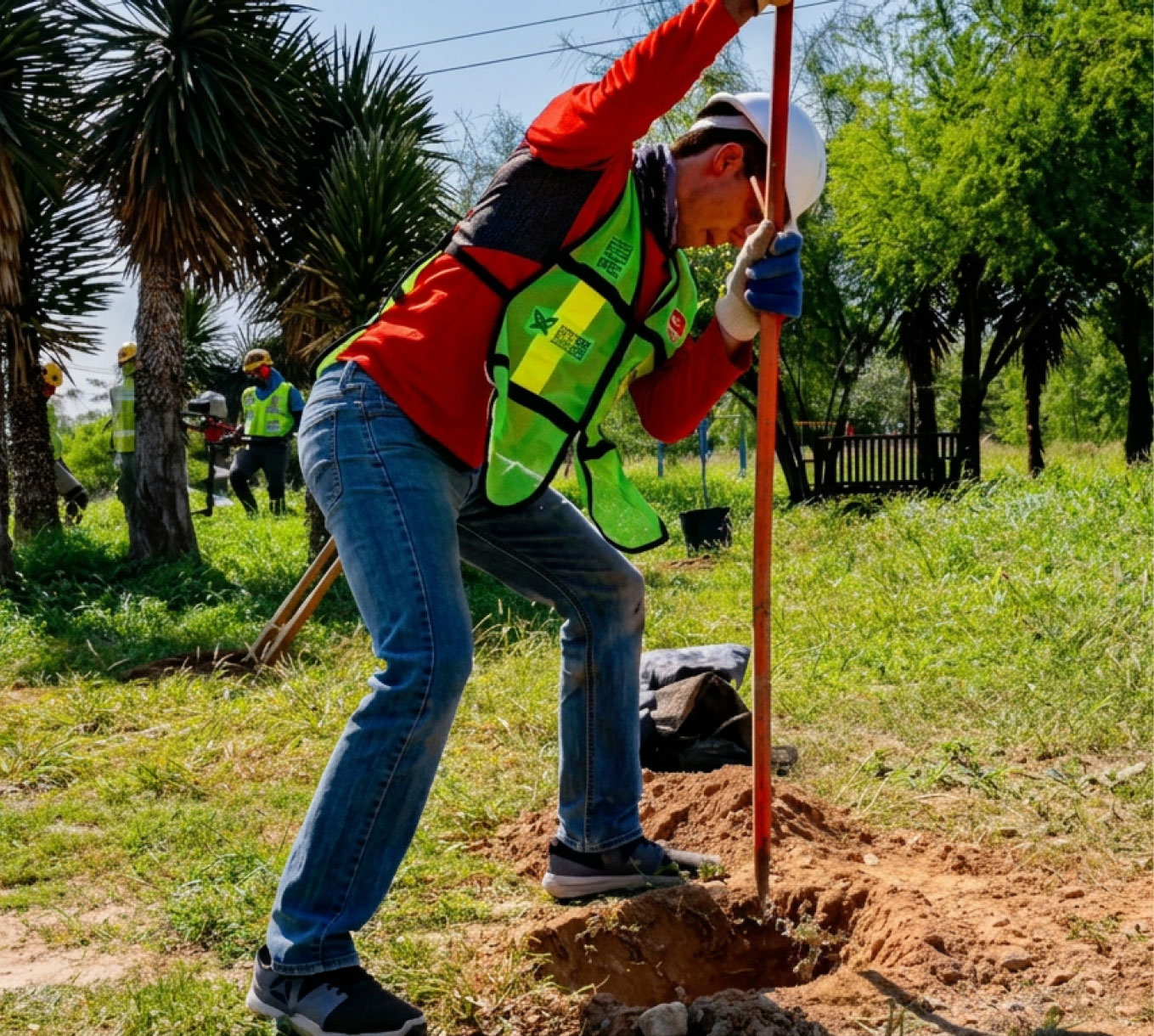 Reforestación y apoyo comunitario Grupo Lamosa